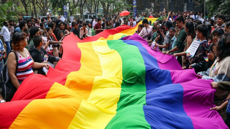 India News | Centre, NMC Tell Delhi HC Queer Partners Can Be Recognised for Medical Decisions if Authorised by Patient