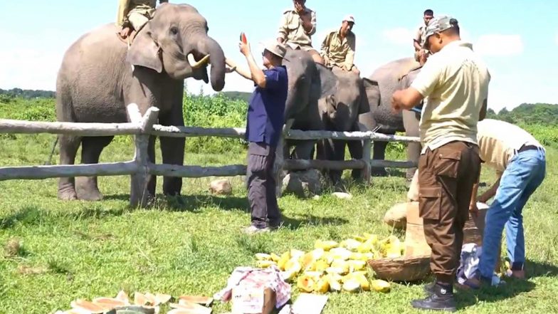 India News | Gauhati HC Declines to Restrain Transfer of Five Captive Elephants from Assam to Tamil Nadu Temples