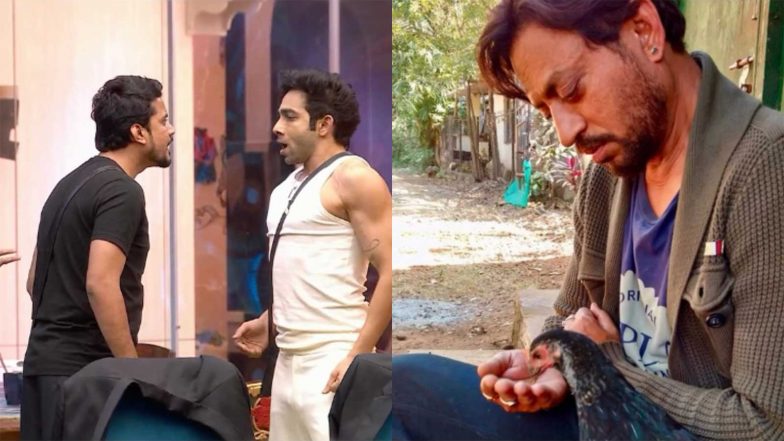 Entertainment News | Bigg Boss 20: Aman Gandhi Calls Aasif Khan ‘sasti Copy of Irrfan Khan’