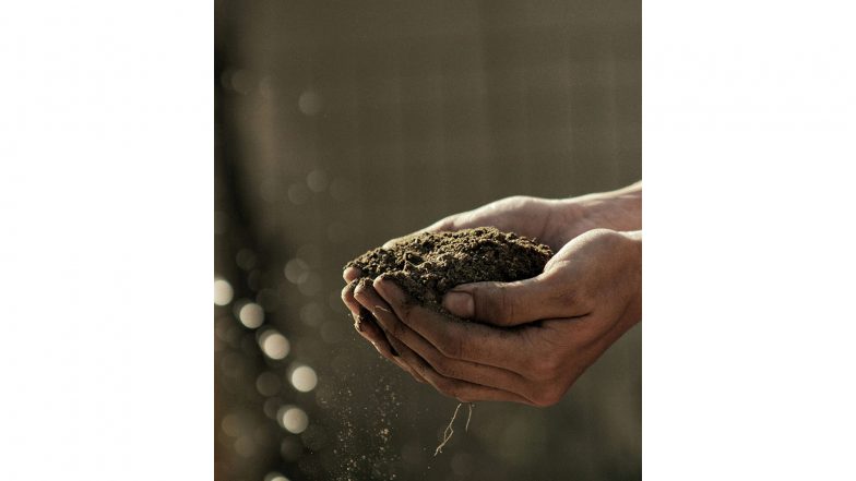 Entertainment News | New Soil Test Could Reveal How Microbes Help Feed Plants