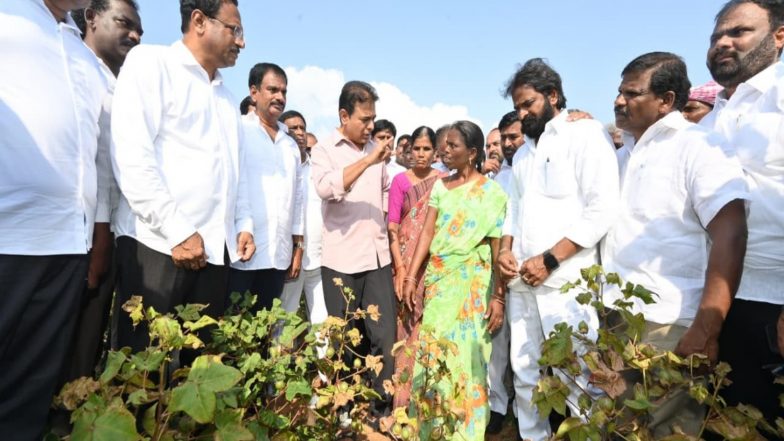 India News | BRS Working President KTR Inspects Dried-up Crops, Interacts with Farmers