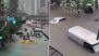 Thailand Flood: Bangkok Declared Disaster Zone, Schools Closed, Flights Disrupted - Key Facts