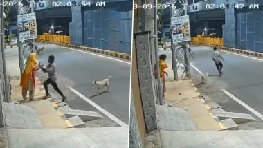Coimbatore: Stray Dogs Foil S*xual Assault Attempt on Mentally Ill Woman, CCTV Video Surfaces