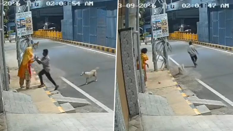 Coimbatore: Stray Dogs Foil S*xual Assault Attempt on Mentally Ill Woman, CCTV Video Surfaces