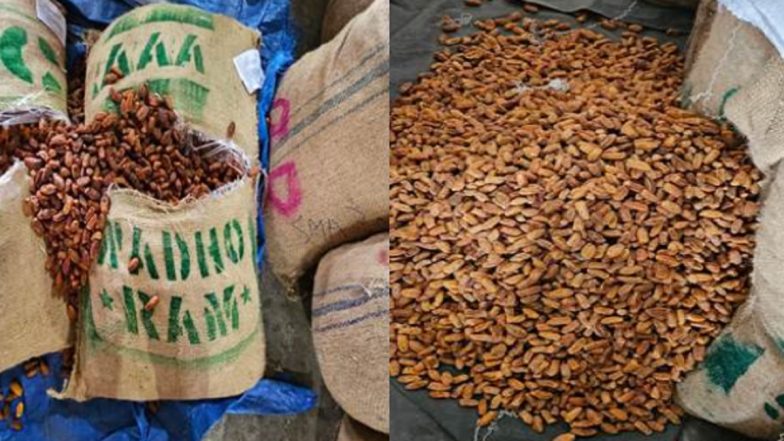 DRI Seizes Over 362 Metric Tonnes of Pakistan-Origin Dry Dates Routed Through UAE