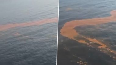 Indian Coast Guard Rescues Foreign Chemical Tanker From Capsizing off Paradip Coast, 23 Crew Safe