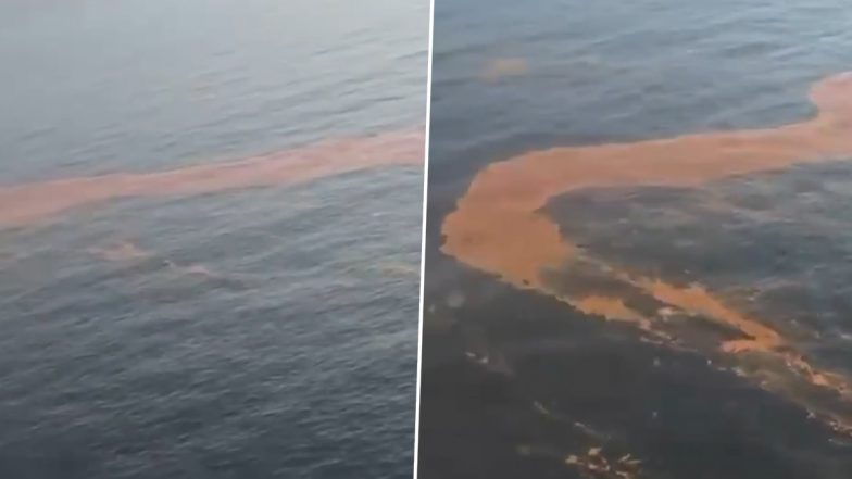 Indian Coast Guard Rescues Foreign Chemical Tanker From Capsizing off Paradip Coast, 23 Crew Safe