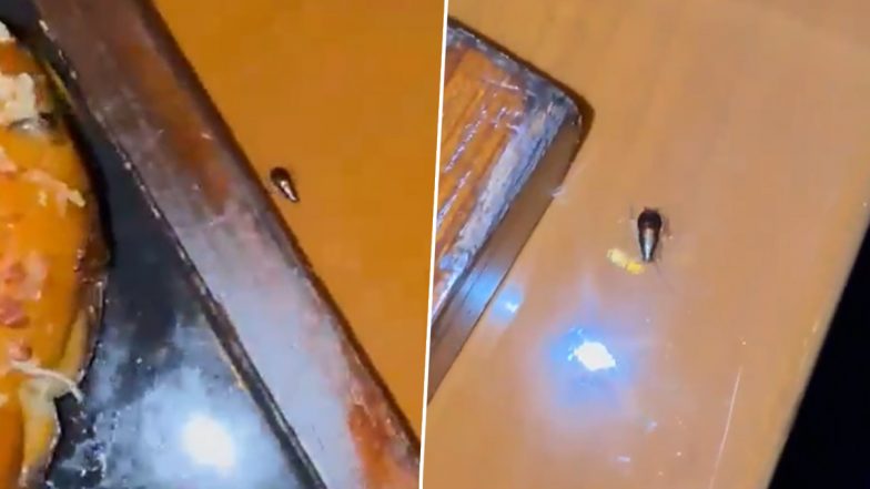 Cardiologist Ashok Seth Shares Video of Cockroach at JW Marriott Dinner, Tags Tukaram Mundhe