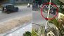 Jaipur Hit-and-Run Video: 57-Year-Old Dairy Operator Killed After Speeding Thar Hits Scooter