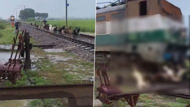 Viral Video Shows Narrow Escape for Women After Intercity Express Hits Dozens of Goats in Pratapgarh