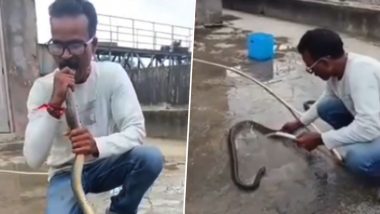 Snake CPR Video: Gujarat Rescuer Revives Reptile Found in Industrial ETP Tank