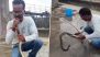 Snake CPR Video: Gujarat Rescuer Revives Reptile Found in Industrial ETP Tank