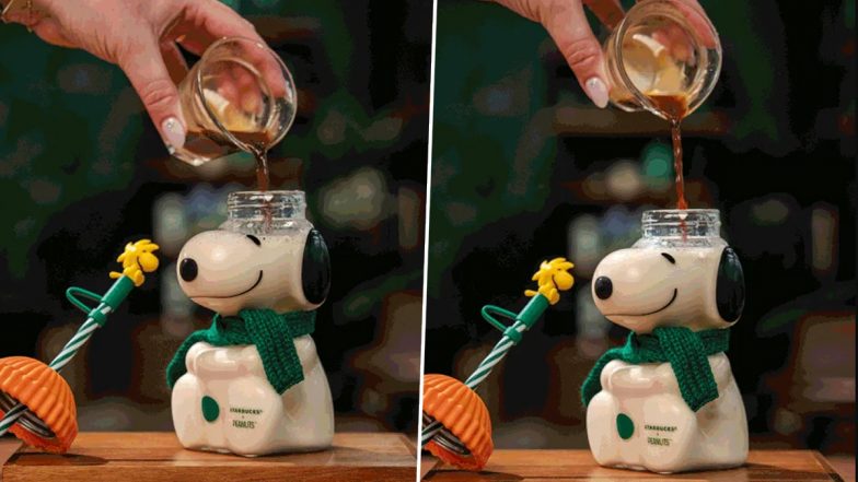 Viral Starbucks Snoopy Glass Cup Leads 2026 Peanuts Fall Collection; Check Prices and Lineup