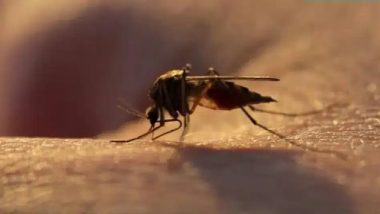 Mumbai Malaria Cases Rise to 9,298 in 2026, 2 Deaths Reported After 3-Year Zero-Fatality Run