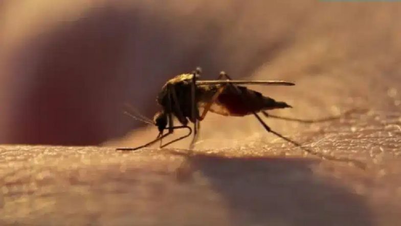 Mumbai Malaria Cases Rise to 9,298 in 2026, 2 Deaths Reported After 3-Year Zero-Fatality Run
