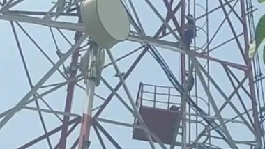 Palghar: Woman Climbs 50-Foot High-Tension Electricity Tower After Lover Refuses Marriage