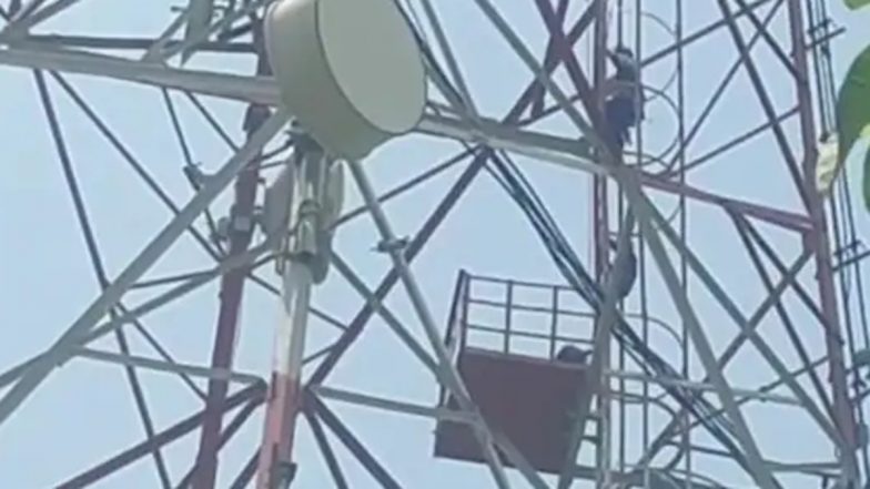 Palghar: Woman Climbs 50-Foot High-Tension Electricity Tower After Lover Refuses Marriage