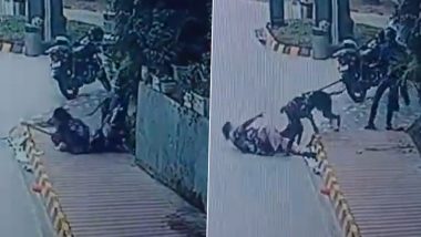 Noida: Pug Mauled to Death by Great Dane in Residential Society, Case Registered (Disturbing Video)