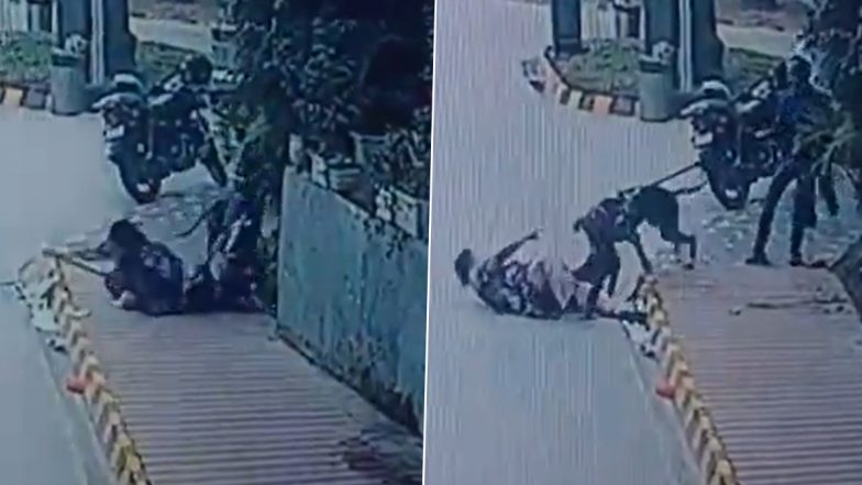 Noida: Pug Mauled to Death by Great Dane in Residential Society, Case Registered (Disturbing Video)