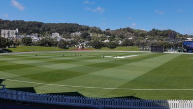 Wellington Weather Forecast and Rain Chances for India vs New Zealand 3rd T20I 2026