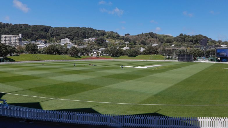 Wellington Weather Forecast and Rain Chances for India vs New Zealand 3rd T20I 2026