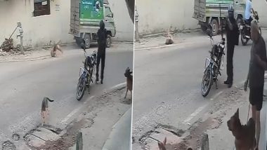 Animal Cruelty in Lucknow: Man Shoots Stray Dog Dead With Rifle After It Barks at Him (Disturbing Video)