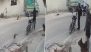 Animal Cruelty in Lucknow: Man Shoots Stray Dog Dead With Rifle After It Barks at Him (Disturbing Video)