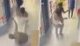 Zomato Delivery Boy Attacked in Hyderabad: Couple Assaults Worker Over Food Delay, CCTV Captures Incident