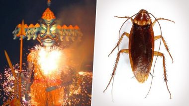 30-Foot Cockroach Effigy to Join Ravan, Kumbhkaran and Meghnad at Delhi Ramleela