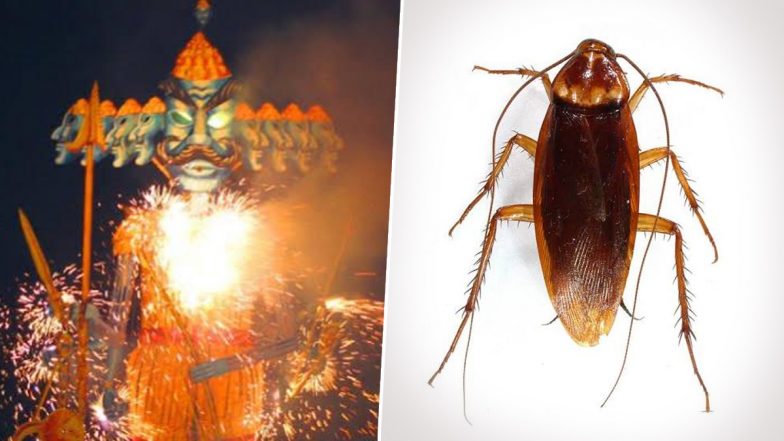 30-Foot Cockroach Effigy to Join Ravan, Kumbhkaran and Meghnad at Delhi Ramleela