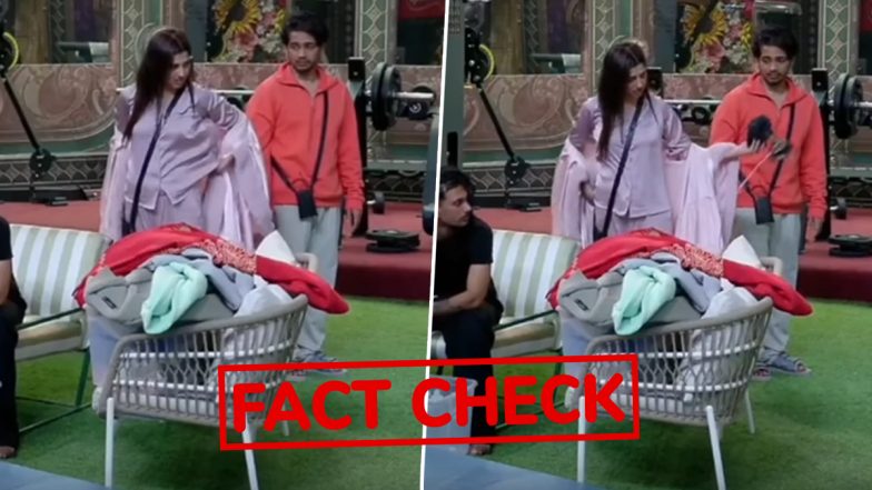 Fact Check: &lsquo;BB 20&rsquo;: Did Love Gill Give Her Innerwear To Scout OP After Taking It Off? Truth Behind Viral Video