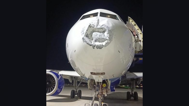IndiGo Flight Hit by Lightning at 17,000 Feet, Nose Damaged on Patna-Lucknow Route; DGCA Probes