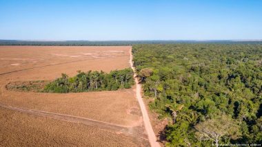 Why Brazil's Elections Matter for the Planet