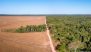 Why Brazil's Elections Matter for the Planet
