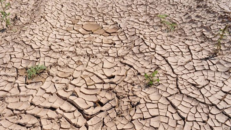 India News | Karnataka Estimates Rs 46,324.50 Crore Loss Across 177 Drought-hit Taluks; CM Meets Central Assessment Team for Relief