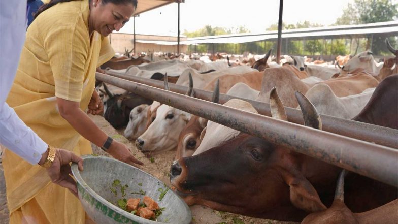 India News | Delhi CM Inaugurates 45 KW Solar Plant at Harewli Gaushala, Performs 'Gau Puja'