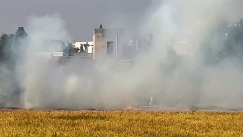 India News | Punjab Stubble-burning Cases Down to Nearly One-third Since 2022: AAP MLA Ajay Gupta