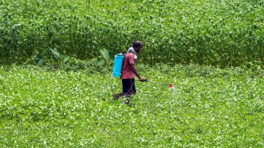 Business News | Global Crop Prices Rise Up to 30%, but Agrochemical Demand Remains Weak: Jefferies