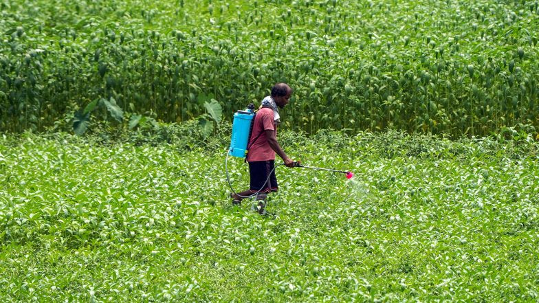 Business News | Global Crop Prices Rise Up to 30%, but Agrochemical Demand Remains Weak: Jefferies