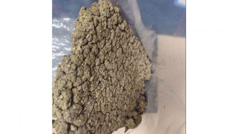 India News | Delhi: Customs at IGI Airport seize Marijuana Worth Rs 4.5 Crore; Passenger Arrested