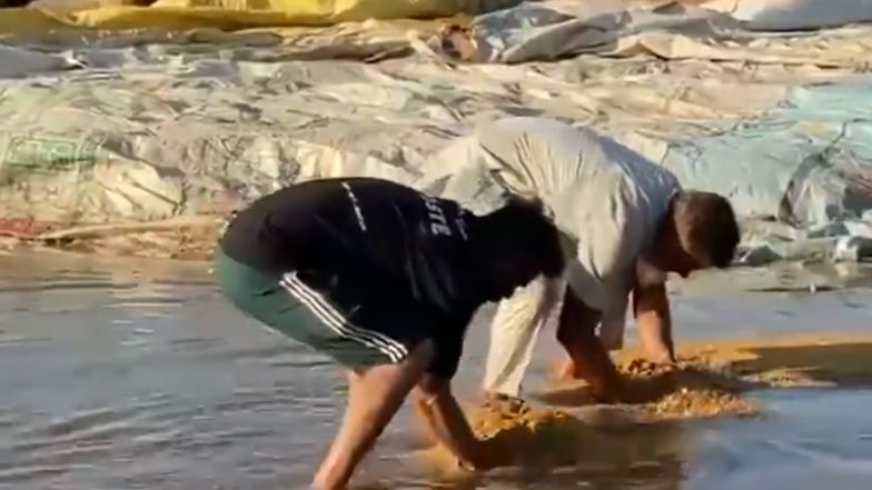 India News | Paddy Sacks Submerged in Fazilka and Ambala Grain Markets After Heavy Rainfall; Farmers Allege Loss Due to Admin Negligence