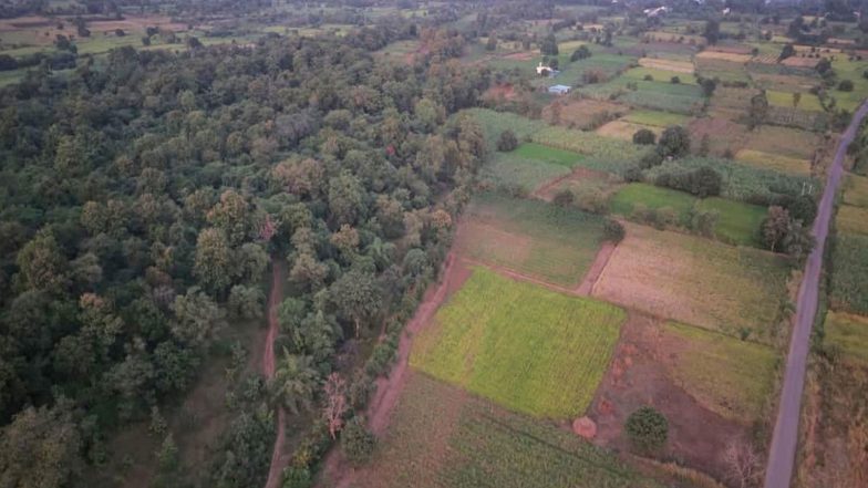 India News | From Barren Hills to a ‘Centre of Excellence’: Balethi Village in Surat Creates History in Joint Forest Management 
