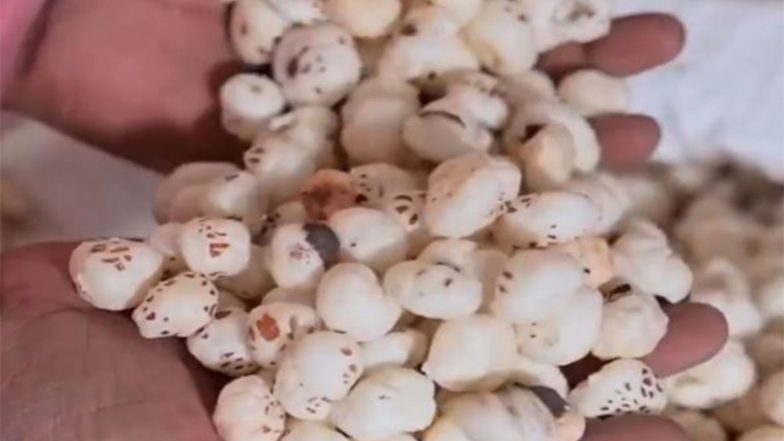 Business News | Piyush Goyal Says Bihar's GI-tagged Mithila Makhana Winning Hearts Worldwide