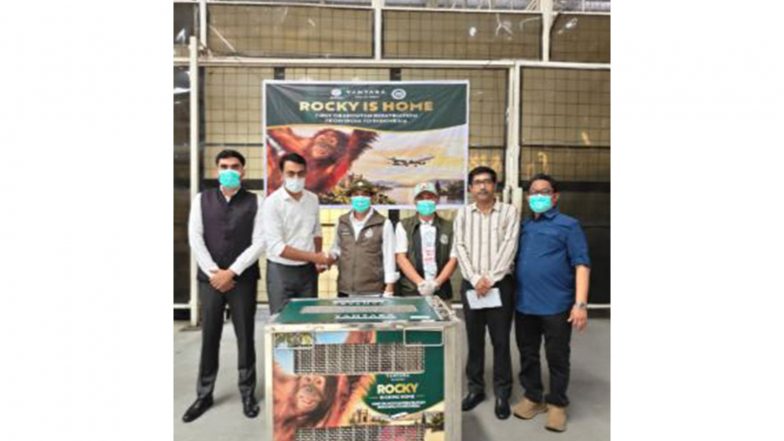World News | India Repatriates Rescued Sumatran Baby Orangutan to Indonesia, Facilitates Return of 5 Others