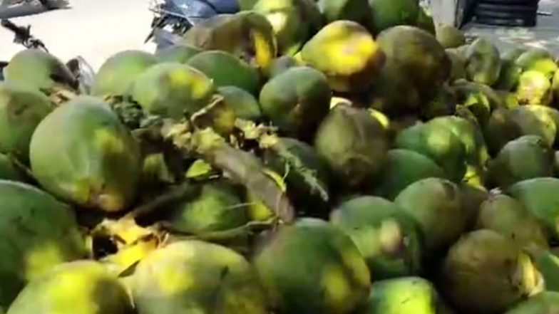 India News | Tender Coconut Prices Rise to Rs 80 in Raichur Amid Scorching Heat