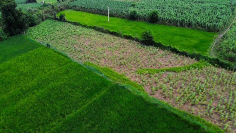 India News | From Farm-fresh Foods to Future Fuels, Innovation Takes Root
