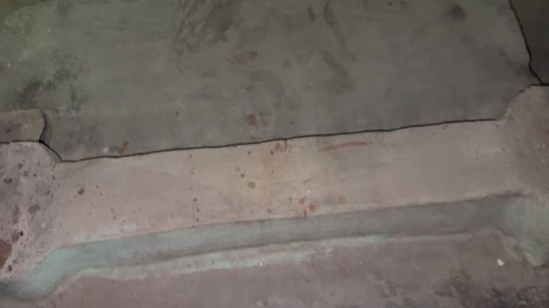 India News | Delhi: Woman Dies After Being Stabbed While Trying to Save Son in Najafgarh; One Arrested
