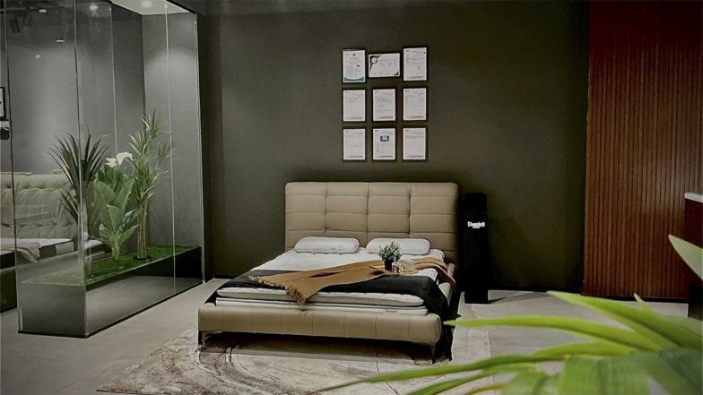 Business News | Domicil Sleep Charts 50-Store India Expansion as Premium Mattress and Sleep-Solutions Segment Gains Ground