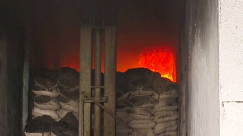 India News | Timber Depot Catches Fire in Telangana’s Kukatpally; No Casualties Reported