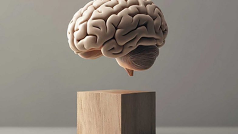 Business News | The Changing Landscape of Neurological Conditions Across All Ages at Zydus Hospital, Vadodara